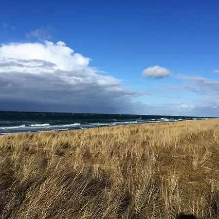 Apartman Achtern Diek Haus 6 2 *